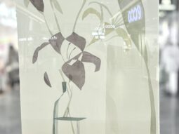 {{brizy_dc_image_alt entityId=